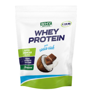 Whey Protein Cocco Ciok 400gr WhyNature